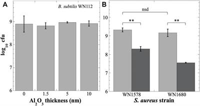 Design and Validation of a Device for Mitigating Fluid Microgravity Effects in Biological Research in Canister Spaceflight Hardware